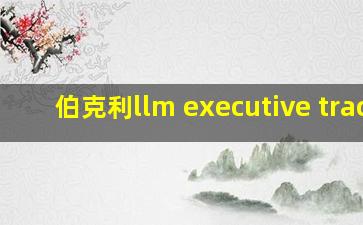 伯克利llm executive track